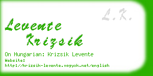 levente krizsik business card